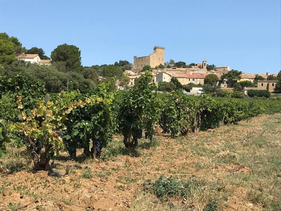 Gites En B&B Le Clos De La Cerise Châteauneuf-du-Pape Kültér fotó